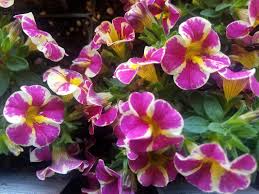 We did not find results for: Fresh Finds At The Minneapolis Farmers Market Minnesota Monthly