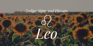 For more information into this personality type, see cancer zodiac meanings here. Zodiac Signs And Flowers Leo
