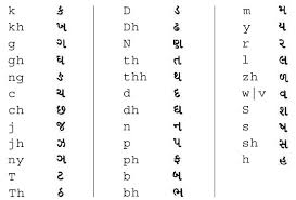 science of language dr rajiv desai