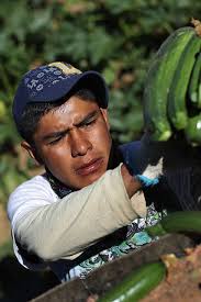 Some Texas business leaders are apprehensive about Trump's pledged  deportations