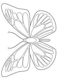 Their wings are bright, iridescent blue with a black edge while the ventral surfaces are brown. Pin On Butterfly Coloring Page
