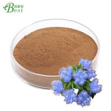 Image result for Cyanotis vaga