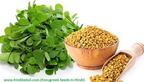 Fenugreek Meaning In Hindi Top 15 Benefits Of Fenugreek In Hindi म थ क फ यद Fenugreek Benefits Herbs Fenugreek