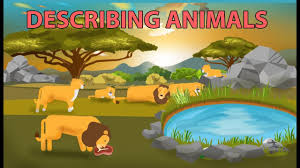 Soal descriptive text describing animals / hewan berikut terdiri dari 40 soal bentuk pilihan ganda dan 10 nomor essay disertai dengan kunci jawaban. Describing Animals With Simple Present Tense Youtube
