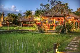 We did not find results for: 35 Gambar Rumah Sederhana Pinggir Sawah Terbaik Lingkar Png