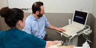 Gold coast provides high quality veterinary specialty care in multiple disciplines including cardiology, dentistry, dermatology, emergency & critical care. Gold Coast Center For Veterinary Care Veterinary Specialists On Long Island