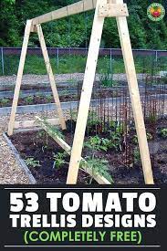 The trellis should last several years, but you might want to rotate the tomatoes with beans and cucumbers to avoid problems with a buildup of insects and diseases. If You Grow Indeterminate Tomatoes These Tomato Trellis Designs And Ideas Will Make You Head O Vegetable Garden Trellis Tomato Trellis Spring Vegetable Garden