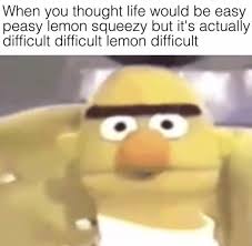 I Always Thought Bert S Head Looked Kind Of Like A Lemon Humor Funny Meme Picture Kickass Sick Meme Sick Humor Memes Sarcastic