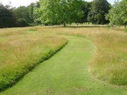 To Mow Or Not To Mow Guy Petheram Garden Design