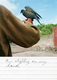 I Pinimg Com Originals De 1f 8c De1f8cf630b70a7