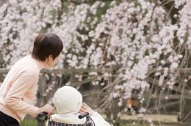 Manage your video collection and share your thoughts. æ¨‚é½¡è³žèŠ± åŒ—éƒ¨ç¯‡ åˆæ˜¥è³žèŠ±ä½•è™•åŽ» å…¨è‡ºè³žèŠ±å®œèµ°è·¯ç·šç¸½æ•´ç†