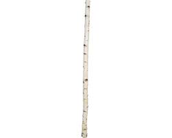 Getrocknet & käferfrei bis 8 m länge für privaten & gewerblichen gebrauch unkompliziert birkenstämme online kaufen. Birkenstamm O 8 Cm 180cm Bei Hornbach Kaufen