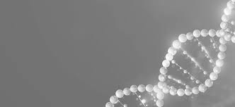 JOIN THE FUN! REGISTER TODAY!!