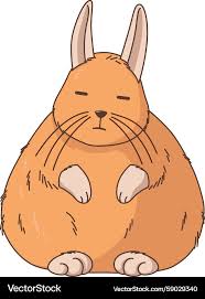 Image result for viscacha