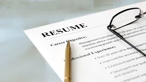 Resume Objective Examples And Writing Tips