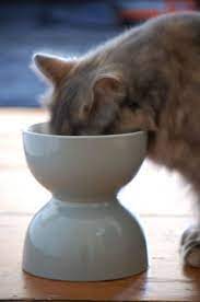Diy Pretty And User Friendly Pet Food Bowls Or You Know Cute And Modern Snack Food Bowls They Separate With M Cat Food Dish Food Animals Cat Food Bowl