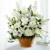 Flowers are the symbol of love, purity, innocence and calmness. 1