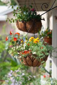 Check spelling or type a new query. Creative Flower Pot And Planter Uses