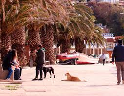 Restaurantes Olmue Limache Nogales Hijuelas Y Toda La Provincia De Petorca Podran Atender Publico Desde Hoy Soychile Cl