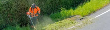 North american equipment rental company that's helped you make it happen for over 35 years. Ruang Ilmu Lawn Care Equipment Rental Grader Rake Rental For Leveling Ground Lawn Care Pasco Rentals Sunbelt Rentals Provides A Wide Range Of Lawn Landscape Equipment