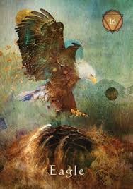 We did not find results for: Get A Free Tarot Card Reading Using Our Oracle Card Reader Healyourlife Com