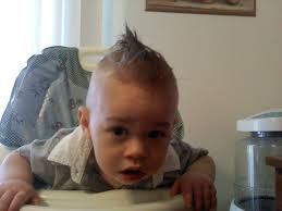 Little boy makes friends at new lions park