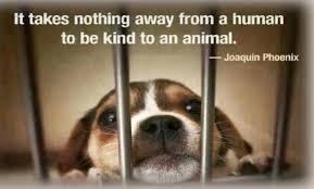 April July 2015 With Images Pets Animal Quotes Animals