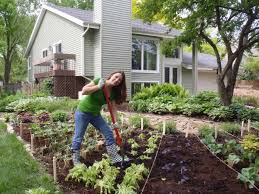 Help it reach its full potential by keeping up with garden chores. Budget Friendly Organic Gardening Hacks Diy Network Blog Made Remade Diy