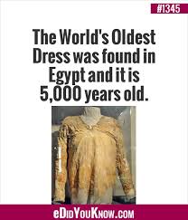 Interesting Facts About Everything Wtf Fun Facts Fun Facts Facts