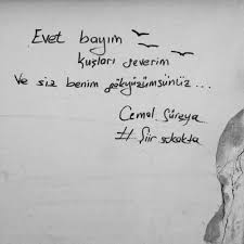 Evet Bayim Kuslari Severim Ve Siz Benim Gokyuzumsunuz Cemalsureya Siirsokakta Guzel Soz Hoslanma Sozleri Ilham Verici Alintilar