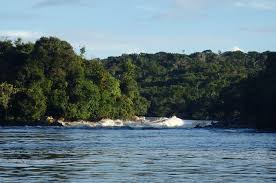 Image result for Afroqueta