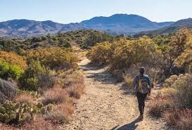 The first part, usually referred to as skyline trail (aka chino canyon trail, sunrise trail. Cactus Spring Trail Has Plenty To Offer For A Half Day Hike