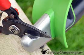 2 slide the sharpener over the bevel edge of the blade, following the angle of the bevel in one. How To Sharpen Pruning Shears For The Perfect Cut Every Time