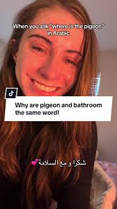 Understanding the Arabic Words for Pigeon and Bathroom