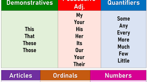 Grammar Archives English Grammar Here Determiners English Grammar Singular Nouns