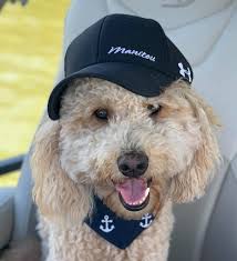 Our Boot loves this lake🥰💗