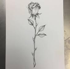 Pin By Patricia Oliveira On Tattoo Arts Single Rose Tattoos Blue Rose Tattoos Flower Tattoos