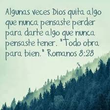 Asi Es El Tiempo De Dios Es Perfecto Romanos 8 28 Citas De La Biblia Palabra De Vida