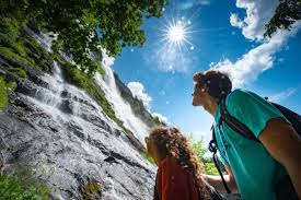 Image result for Vausagesia