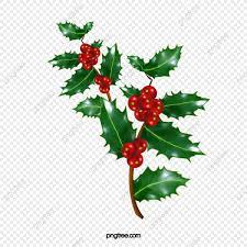 Christmas Holly Twig Decoration Mistletoe Christmas Holly Png Transparent Clipart Image And Psd File For Free Download In 2021 Christmas Holly Christmas Holly Decorations Holly Decorations