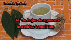 Te De Hojas De Aguacate Increibles Beneficios Youtube