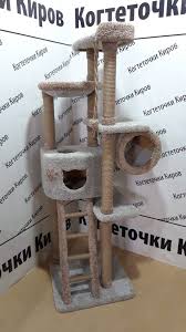 igrovye kompleksy dlya koshek pozvolyayut usatym pitomcam novosele oboi domiki