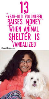 13 Year Old Volunteer Raises Money When Animal Shelter Is Vandalized Animal Shelter How To Raise Money Iheartdogs Com