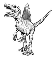 Are there any good hd pictures of dinosaurs? Dinosaur Pokemon Black And White Novocom Top