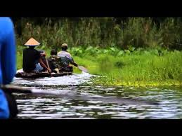 We did not find results for: Banten Exposure Goes To Rawa Dano Youtube