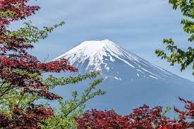 Fujinomiya The Home Of The Majestic Mount Fuji Yabai The Modern Vibrant Face Of Japan