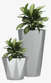 Picturethis is one of the most popular mobile apps for identifying plants from a photo on google play. Plant Pot Png Download Transparent Plant Pot Png Images For Free Nicepng