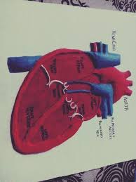 Pin On Intership