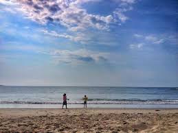 It's a great year round beach for this very reason. Lots Of Shells And Sand For Castle Building Picture Of Martinique Beach Provincial Park East Petpeswick Tripadvisor