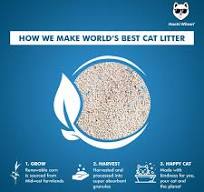 Litter Sand Corn Based Cat Litter Problems Bentonite Cat Litter By Hachi  Wilson – Natural, Odor-Free 5kg